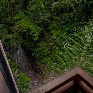 One Bedroom Presidential Villa Waterfall View Heated Pool Private Jacuzzi
